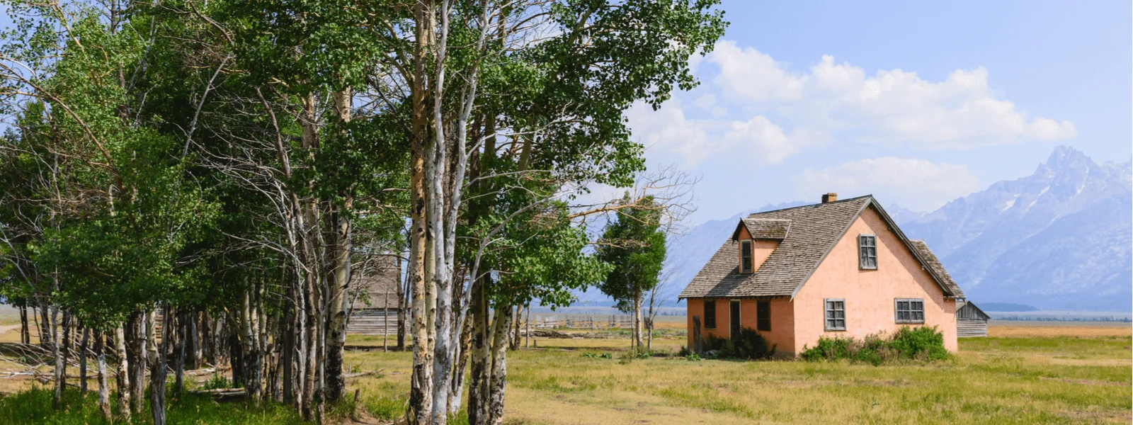 Cowboy State Realty Banner